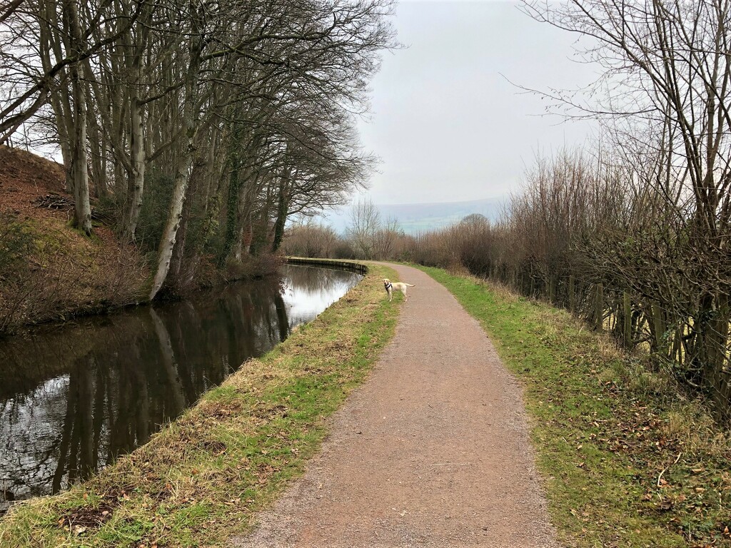 A Winter Walk Along The Brecon and Monmouth Canal by susiemc
