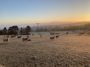 15th Jan 2022 - Burley Moor