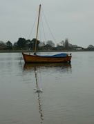 24th Jan 2022 - Little Wooden Boat