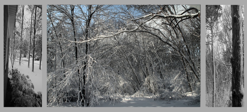 framed snow by hjbenson