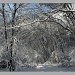 framed snow by hjbenson