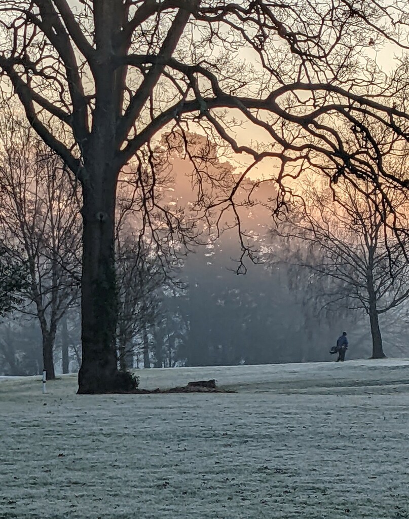 Frosty morning on the golf course by yorkshirelady