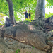 On the laying baobab. 