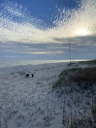 25th Jan 2022 - Late Afternoon Beach Walk