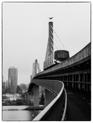 24th Jan 2022 - Crossing The Bridge