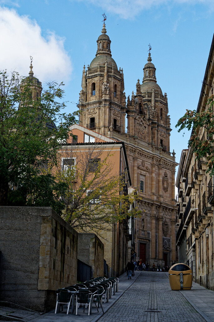 0125 - Salamanca Cathedral by bob65
