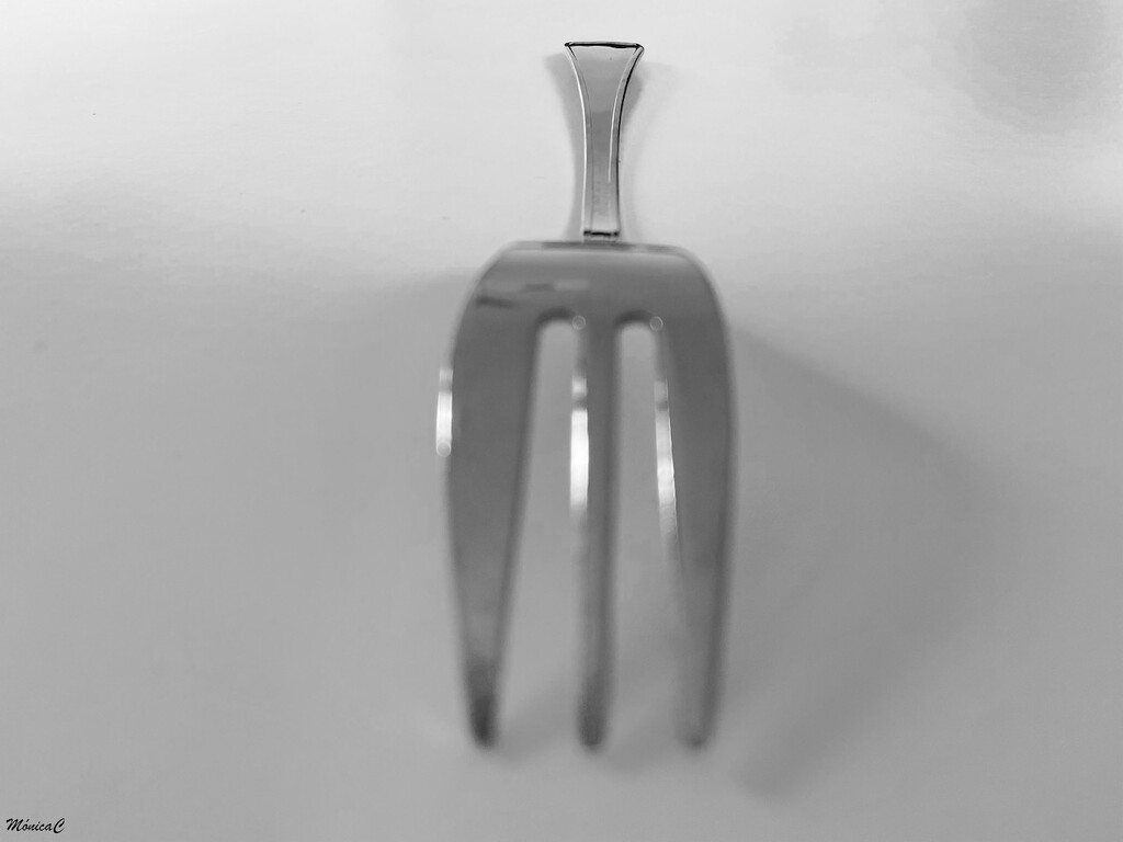 Fork by monicac