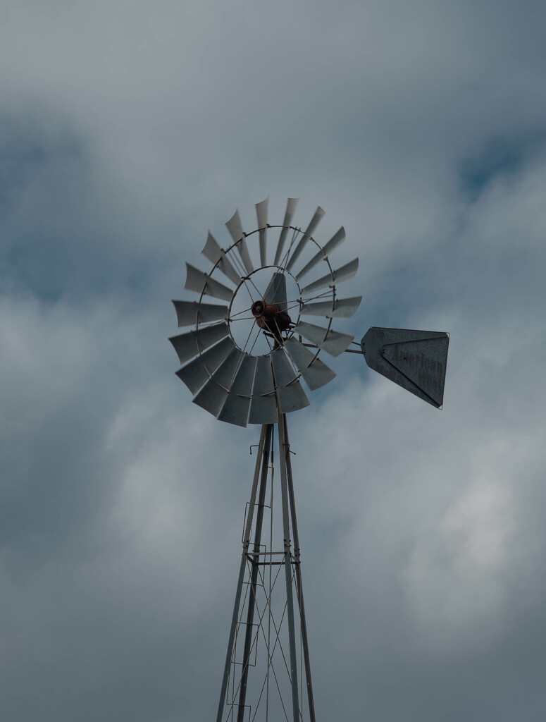 Windmill  by dkellogg