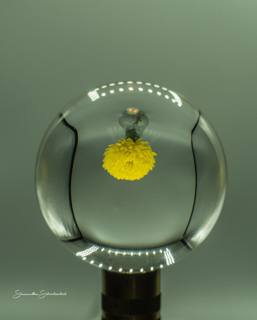 Look into my crystal ball by sschertenleib