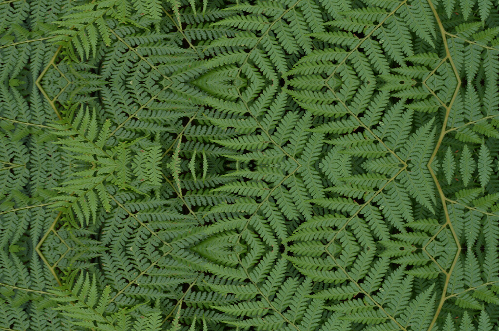 Patterns by jeneurell