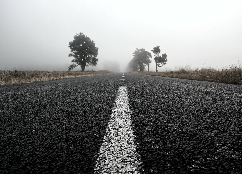 road to nowhere by graemestevens