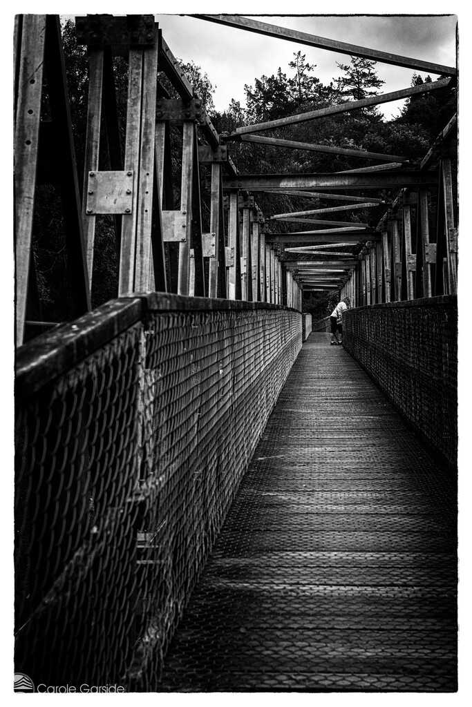Pedestrian Bridge by yorkshirekiwi