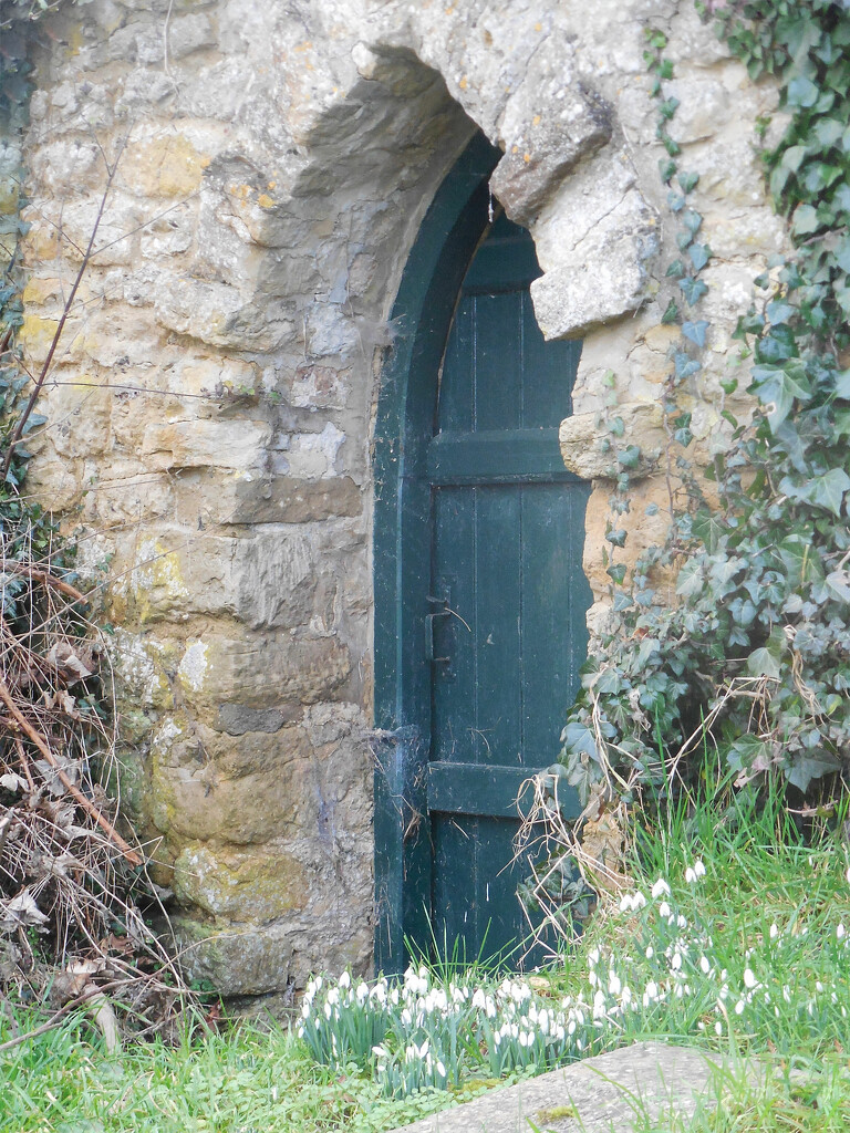 Hobbit door and first snowdrops by jon_lip