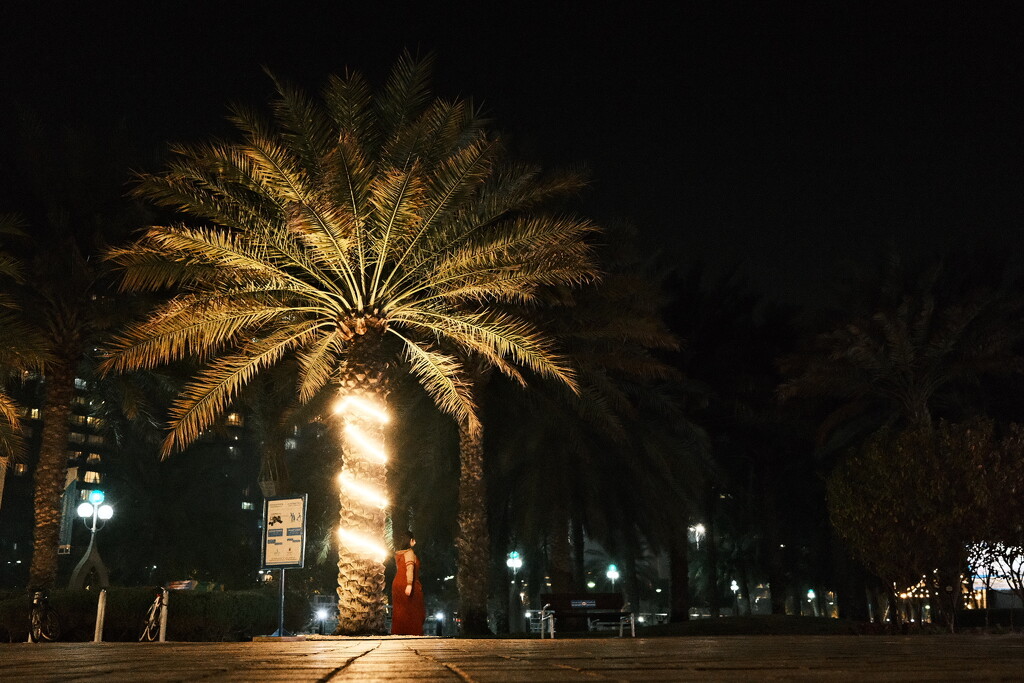 Red woman under a palm by stefanotrezzi