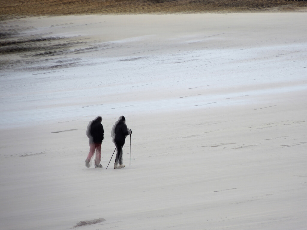 Walkers on the beach by etienne