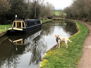 26th Jan 2022 -  Another Canal Shot 