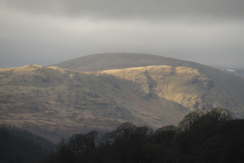 light on the fell by anniesue