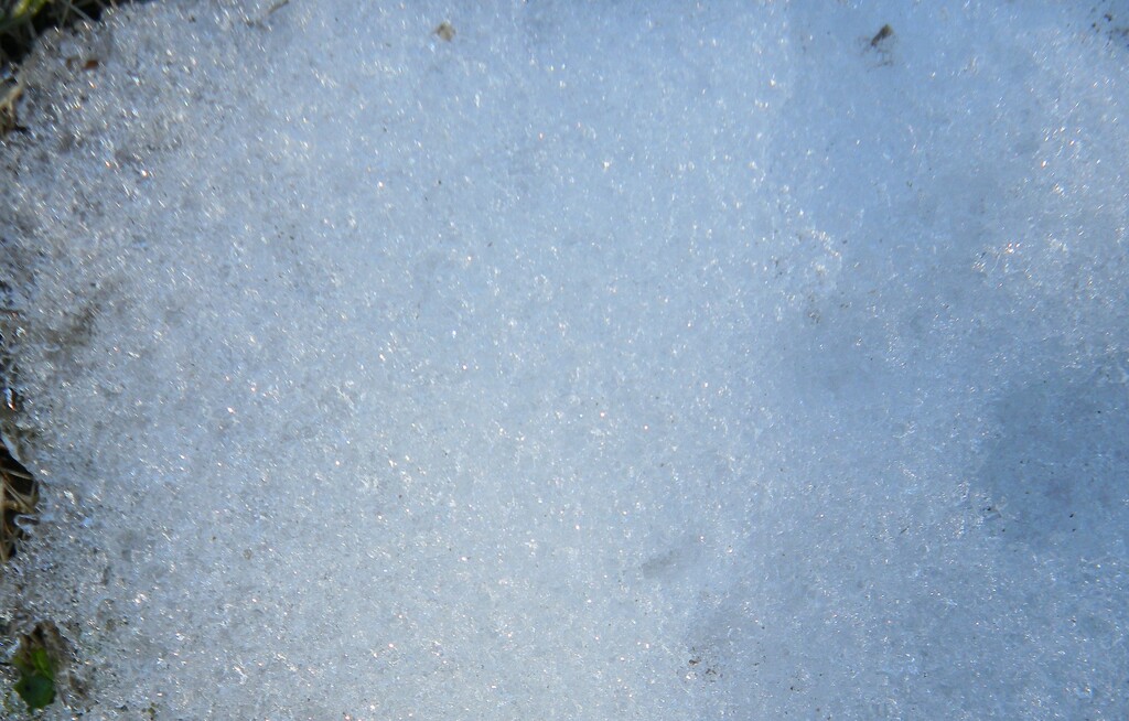 Snow in Grass At Work Closeup by sfeldphotos
