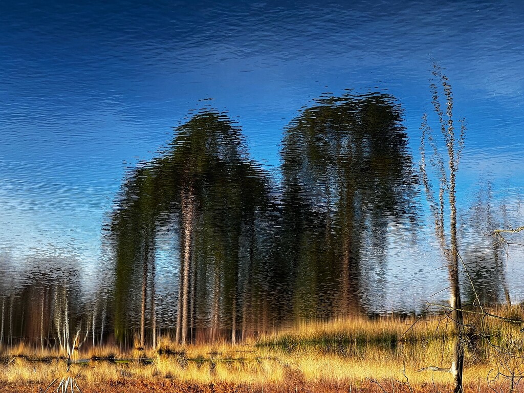 Reflection by mattjcuk