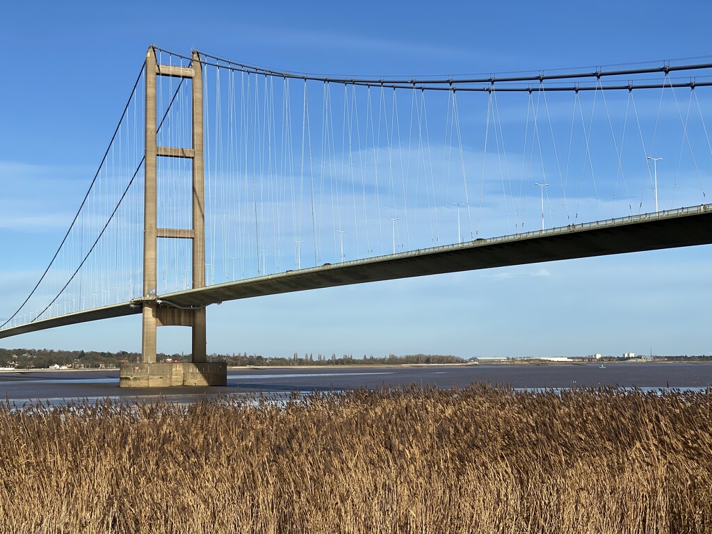 Humber bridge from under by cafict