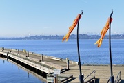 27th Jan 2022 - Lake Washington Windsocks