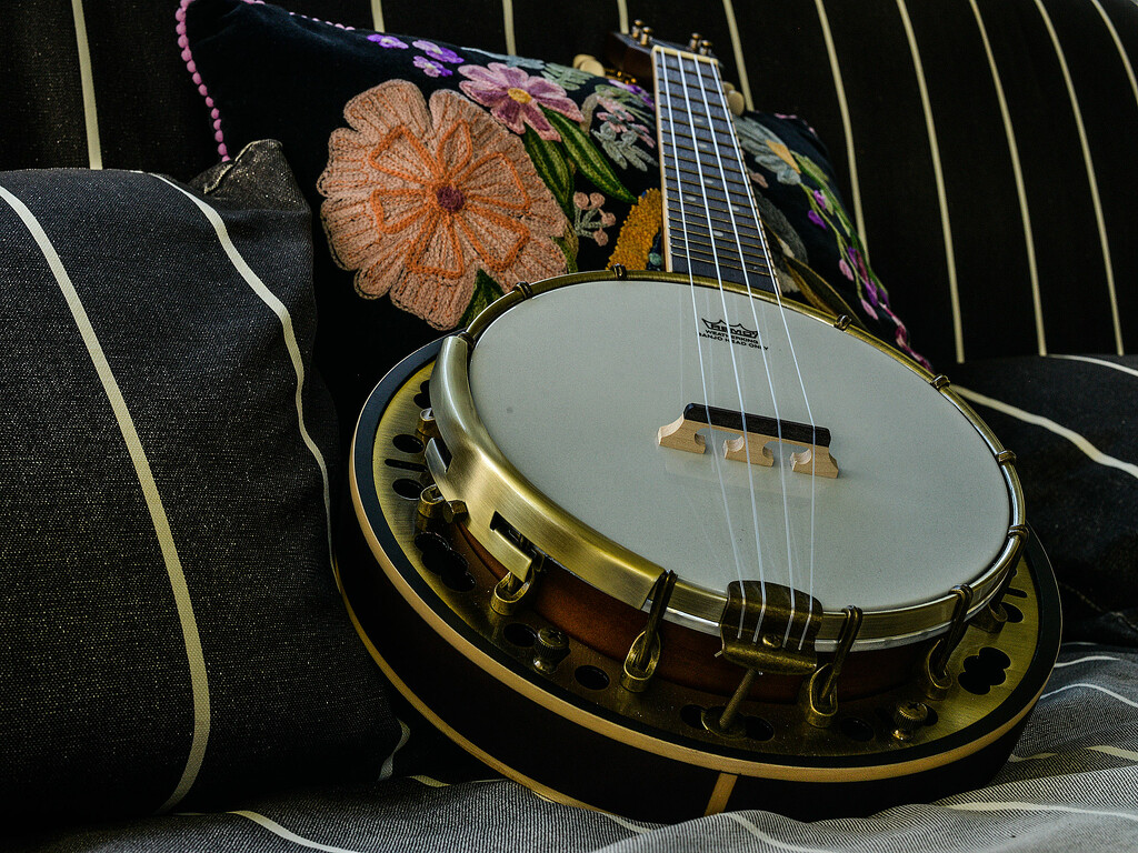 Banjo ukulele by jeneurell