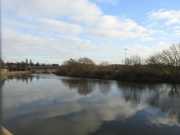 21st Jan 2022 - River Trent and Wilford Toll Bridge