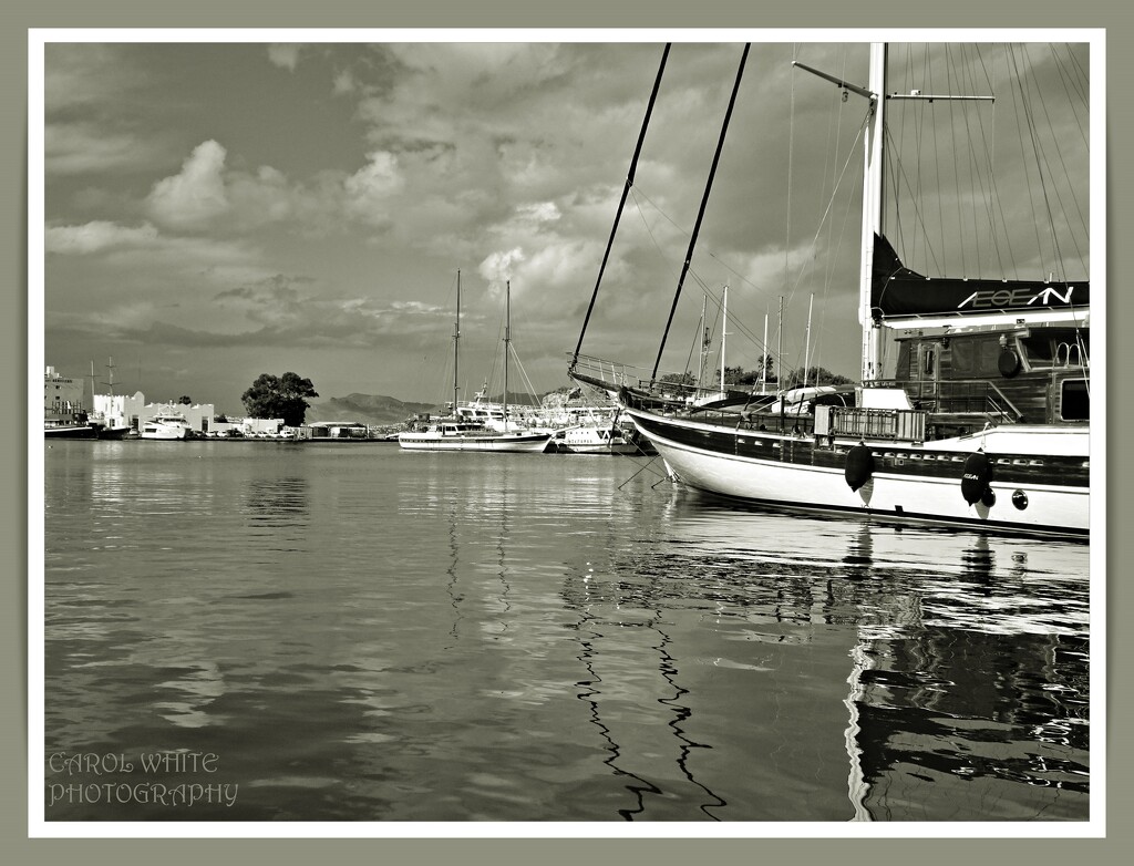 Reflections,Kos Harbour by carolmw