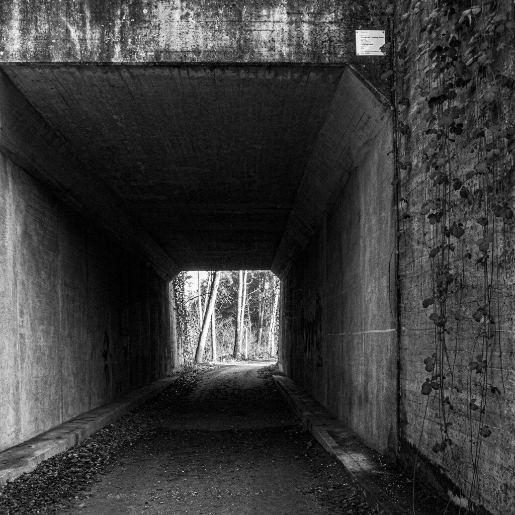 01-28 - Underpass by talmon