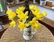 28th Jan 2022 - My First Daffodils