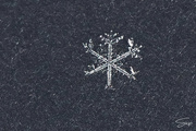 19th Jan 2022 - First Try at a Snowflake