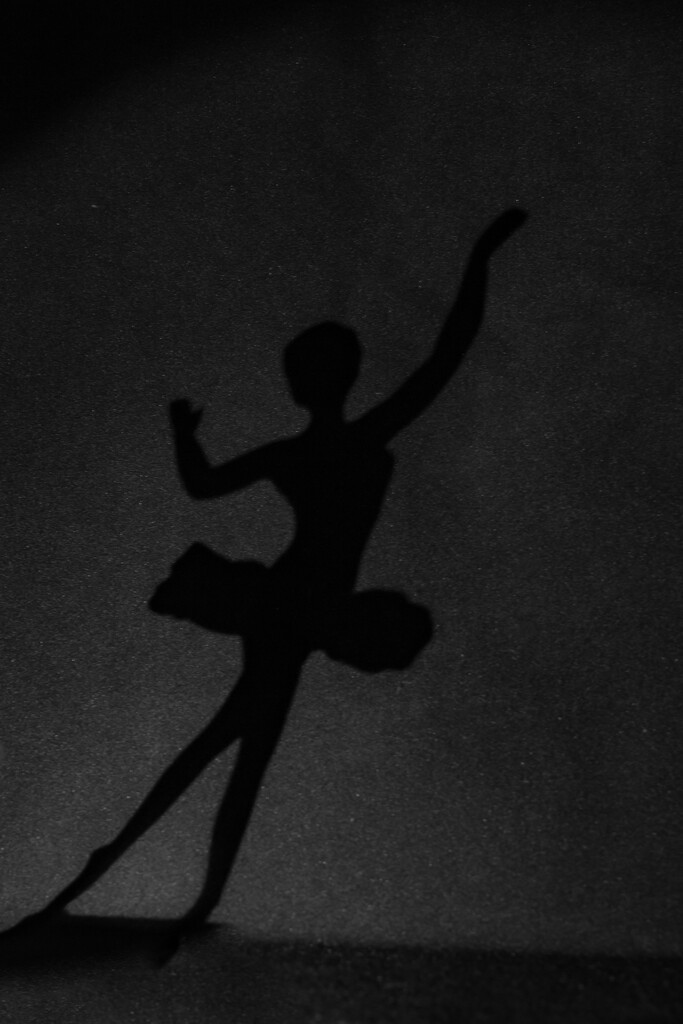 Ballet by daryavr