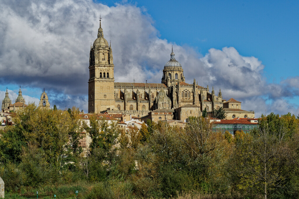 0128 - Salamanca Cathedral by bob65