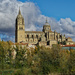 0128 - Salamanca Cathedral