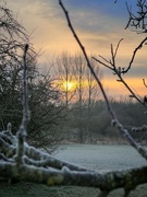 28th Jan 2022 - Early morning frost
