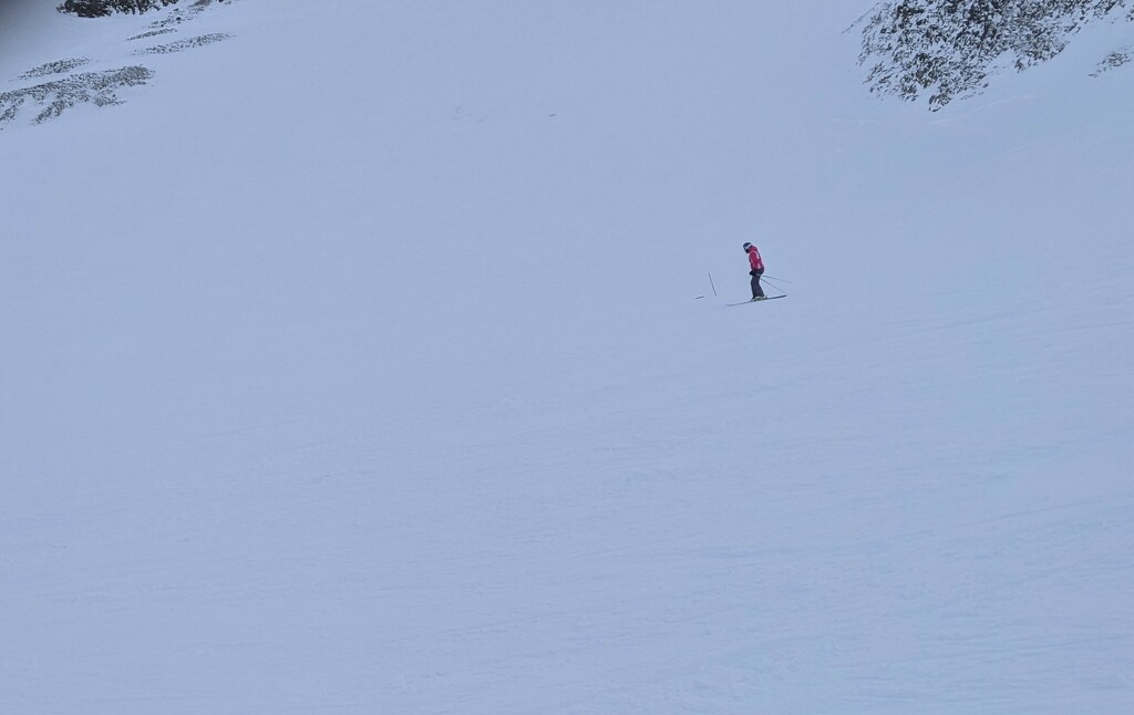 Lone Skier by tdaug80
