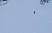 28th Jan 2022 - Lone Skier