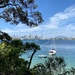 Sydney Harbour by kjarn