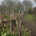 Winter.. is the season for hedge laying by 365projectorgjoworboys