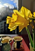 29th Jan 2022 - Daffodils and breakfast