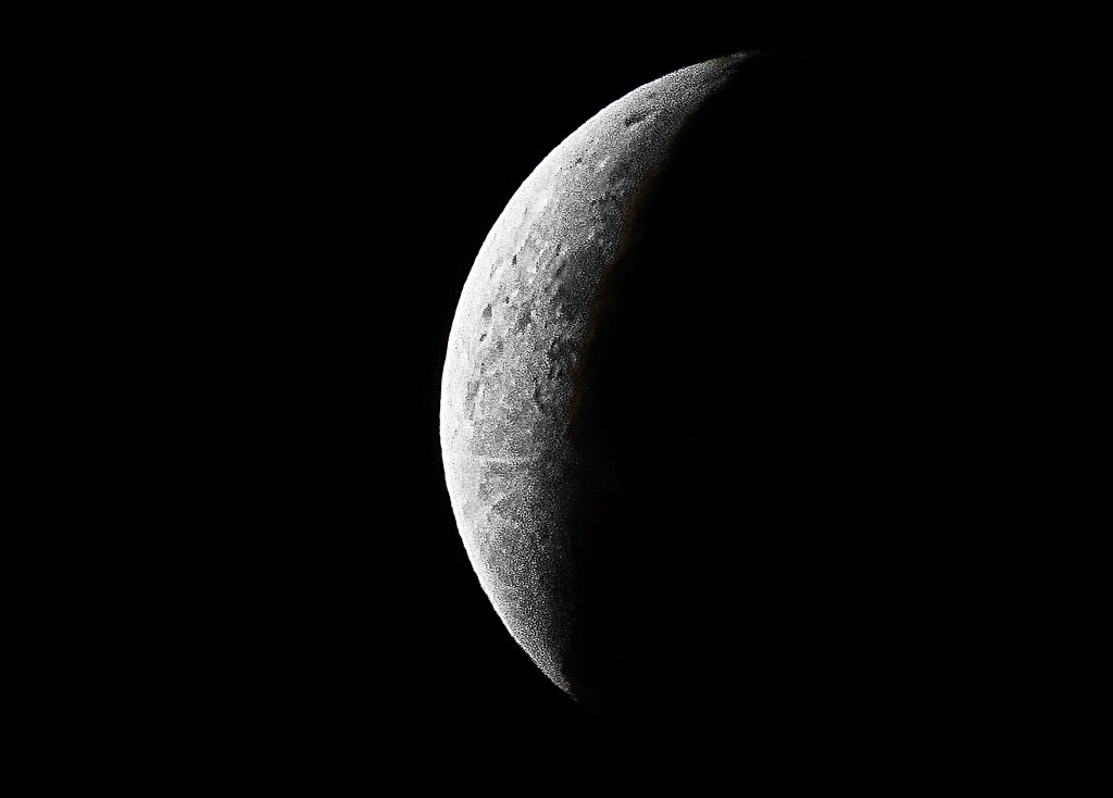 Partial Lunar Eclipse Nov 19 2021 by olivetreeann