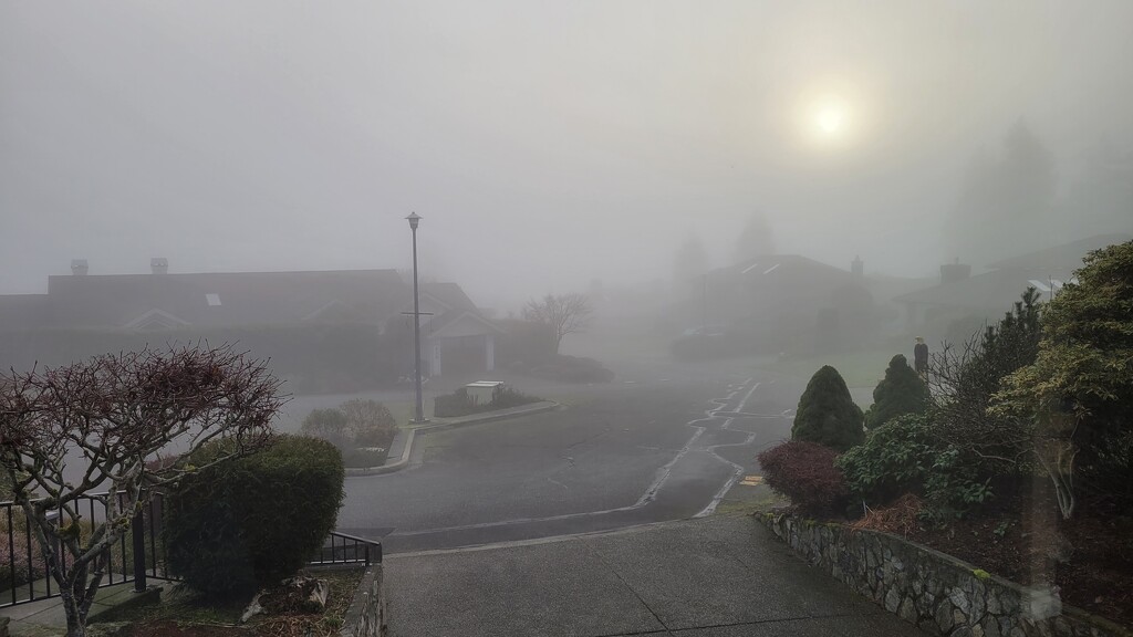Fog Again by kimmer50