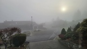 28th Jan 2022 - Fog Again