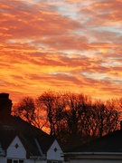 30th Jan 2022 - This morning's sky
