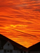 30th Jan 2022 - This morning's sky