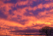 30th Jan 2022 - Another Fire Sky