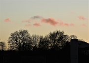 27th Jan 2022 - Little Pink Clouds