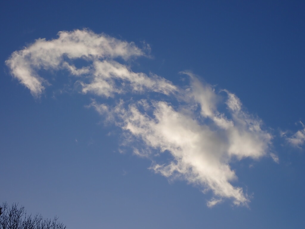 Passing cloud - embracing January blue (skies) by speedwell