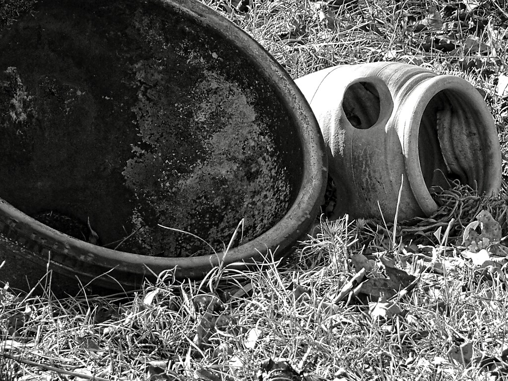 Empty plant pots... by marlboromaam