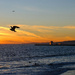 Two Gulls, Two Surfers by redy4et